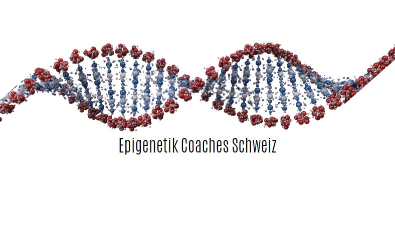 Epigenetikcoaches-schweiz.ch